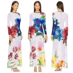 Alice + Olivia Delora Maxi Dress Le Parisien Floral Long Sleeve Sheer Women 4
